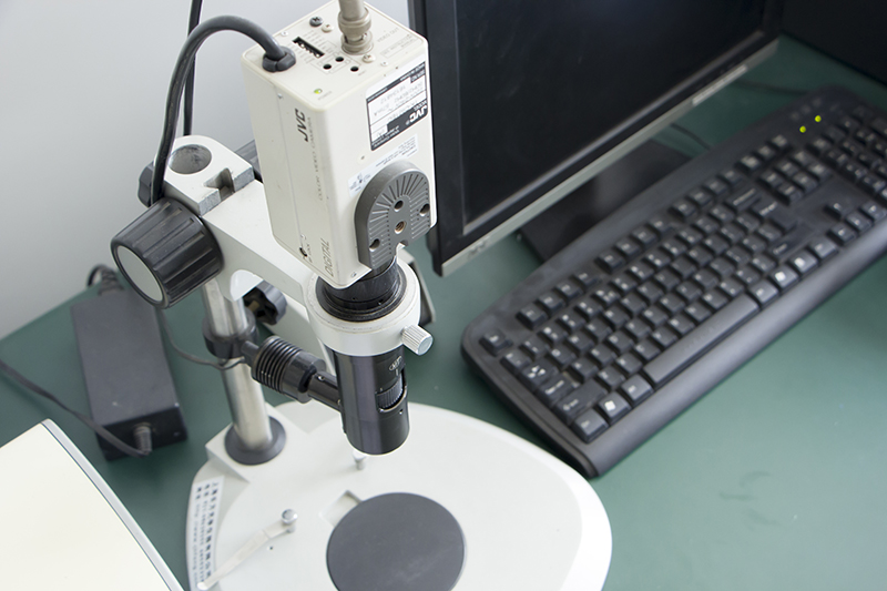 Spectral analysis scan